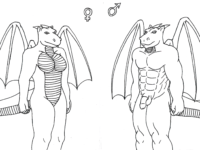 Anatomy [2]
