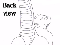 Ass [01]