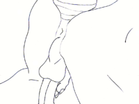 Ass [05]