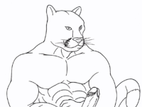Puma [1]