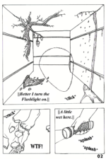 Page 02