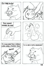 Stránka 10