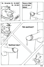 Stránka 11