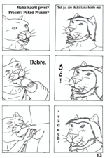 Stránka 13