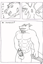 Page 06