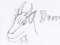 DragonOne [1]