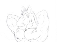 Danthewolf [1]