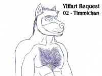 YR - 02 - Timmichan