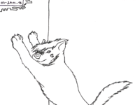 03 - Kogie