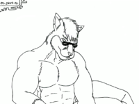 04 - Anthofur