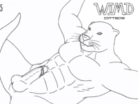 Otter